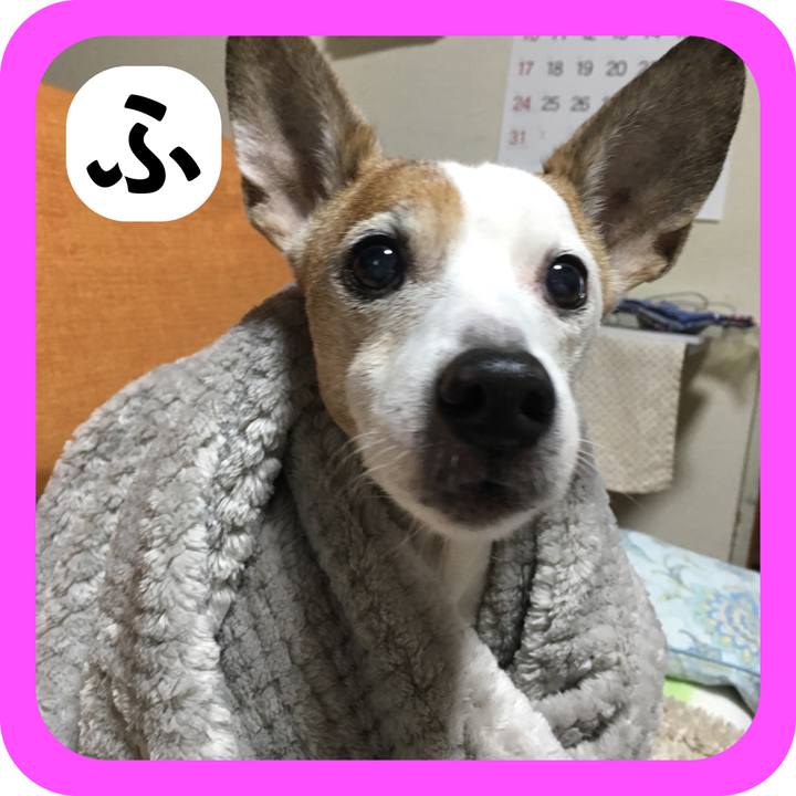 6001c355 3154 445d a709 57798bfe9130 1514804740074