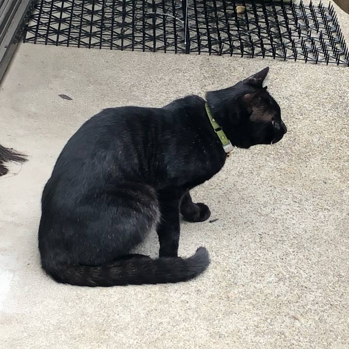 6001dd1d 6e12 4824 b220 7d35e747cb22 1559306958362