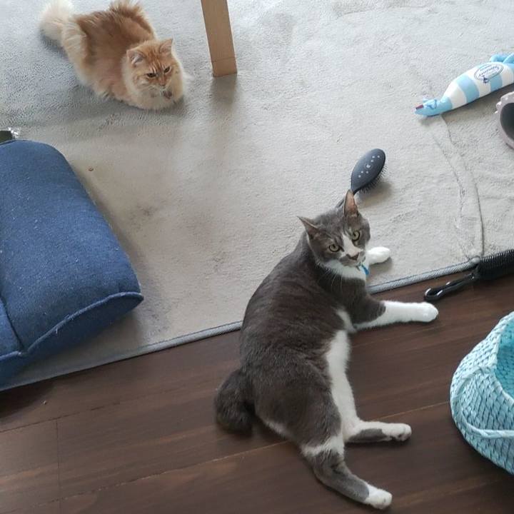 60022a41 4051 49f2 becc 1718c670bdd5 1688899526953