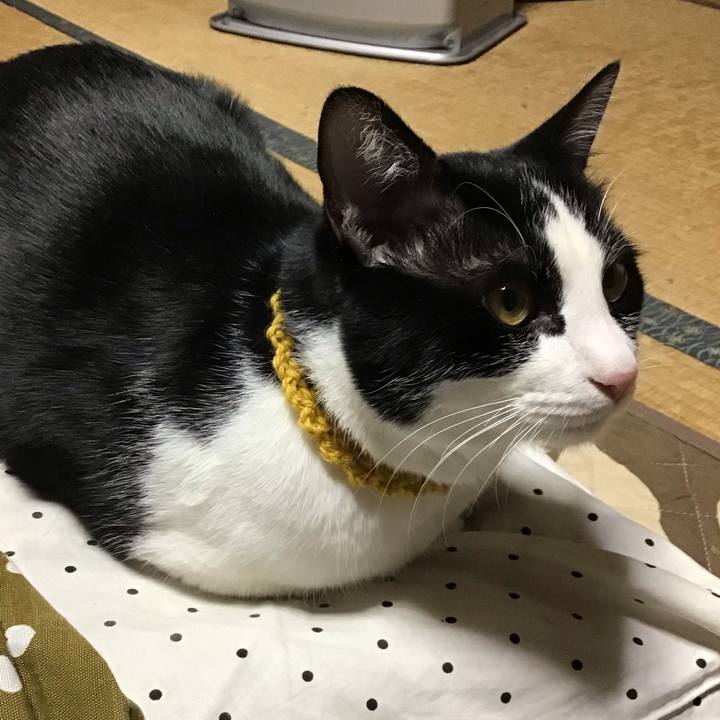 60024071 58d6 4f8f 9ea4 888244e39f94 1645435354378