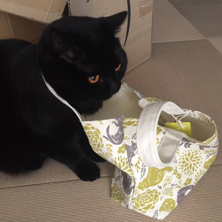 6002506c 71c7 4be0 8403 3c99714635b5 1526079216230