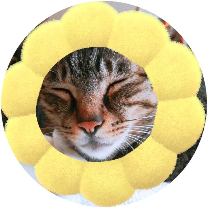 600257b6 594e 484d 9fc1 6860cb7eca6d 1567293273237