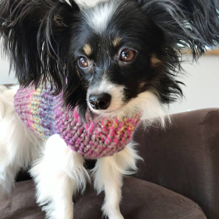 60026b39 631b 4db7 b85a eb22f858fa23 1514174978550