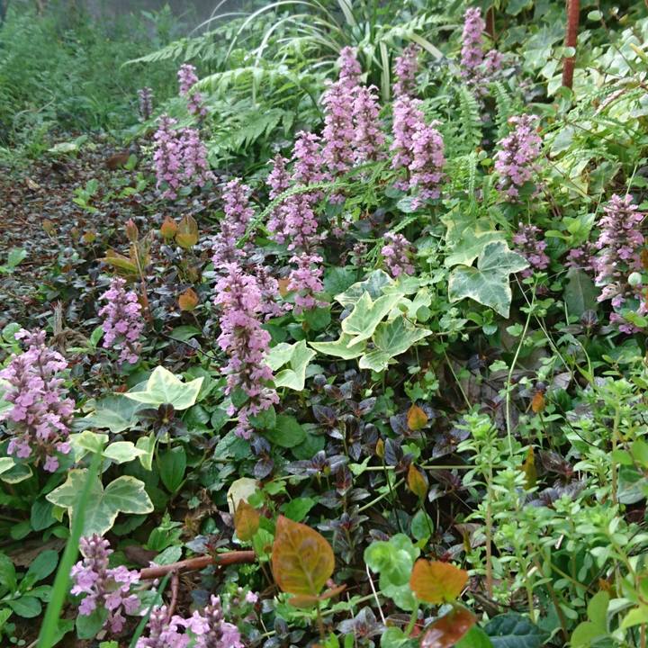 60029aaa 6dce 435f 8e4b 863cd7a69ce9 1524131701696