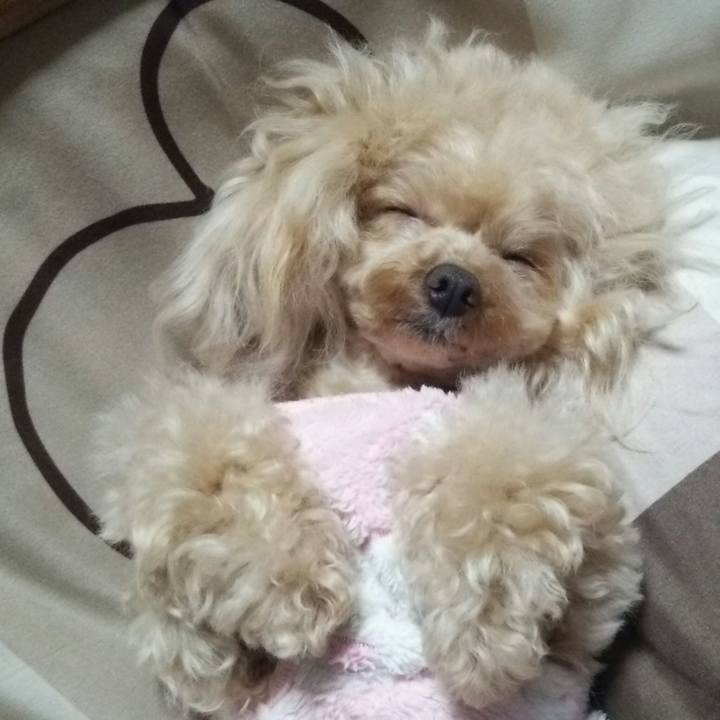 60029d23 b26d 40ac 9a65 74e1b20990a4 1548769937788