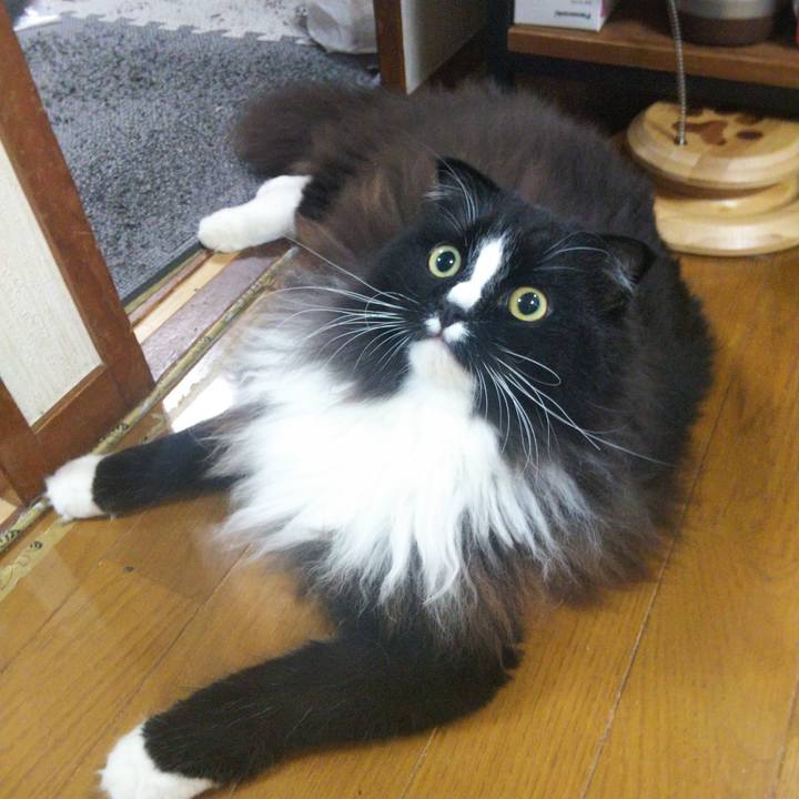 60029dc3 5a91 4d70 af3d f1c055d7216d 1659965180106