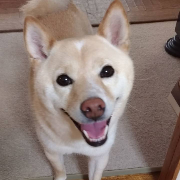 6002e75f 4bf0 4e39 b20d bc46ed6ad639 1591912603592