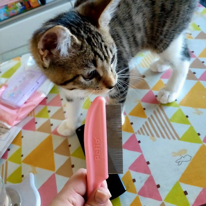 6002ee3d 8b31 48c7 9814 70d1fd07a50d 1626560101773