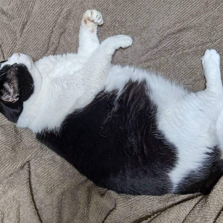 600313fc 8de1 40cd 8433 3fc49ed73337 1629642271898