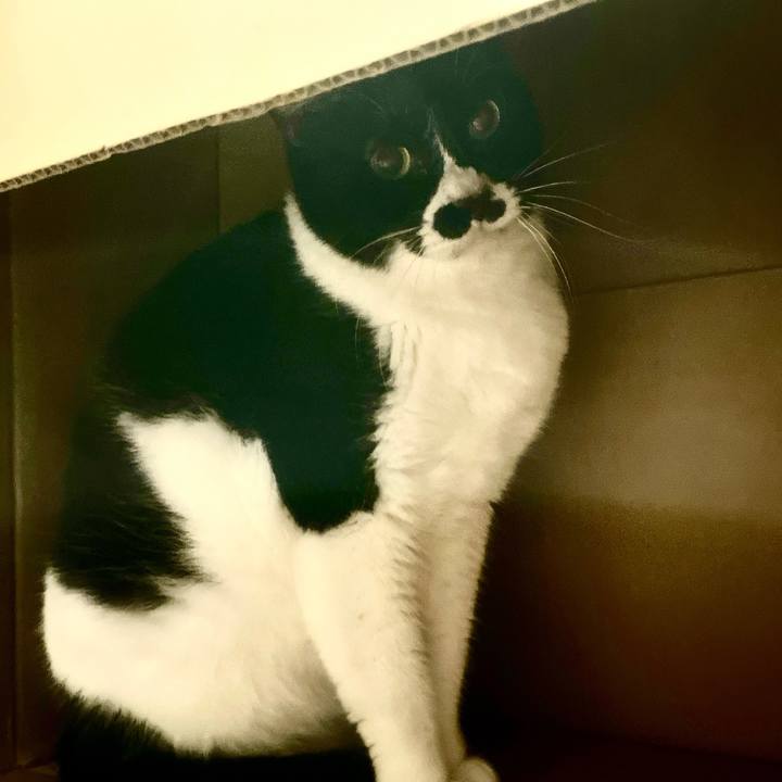 60033493 3ef1 4c2f a664 e208014aa70f 1710338087073