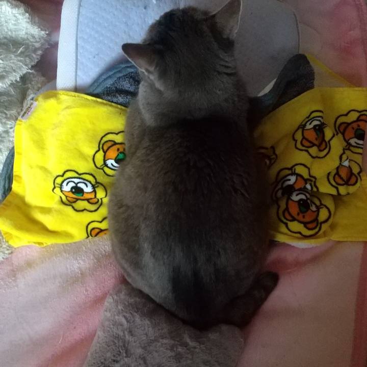 600340e4 0753 4846 8922 3be19d849b8b 1676585015579