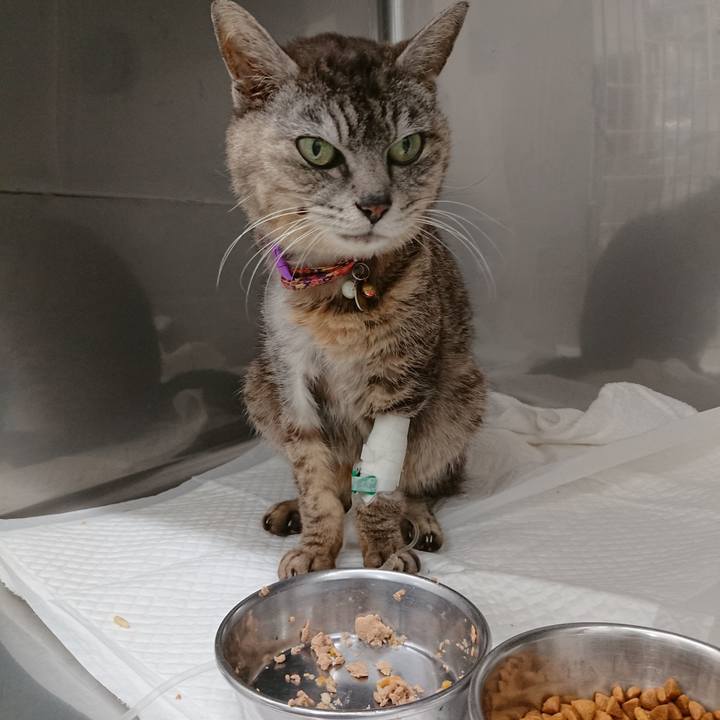 60035cda cfee 4938 b66f 6791fe914b62 1595409805186