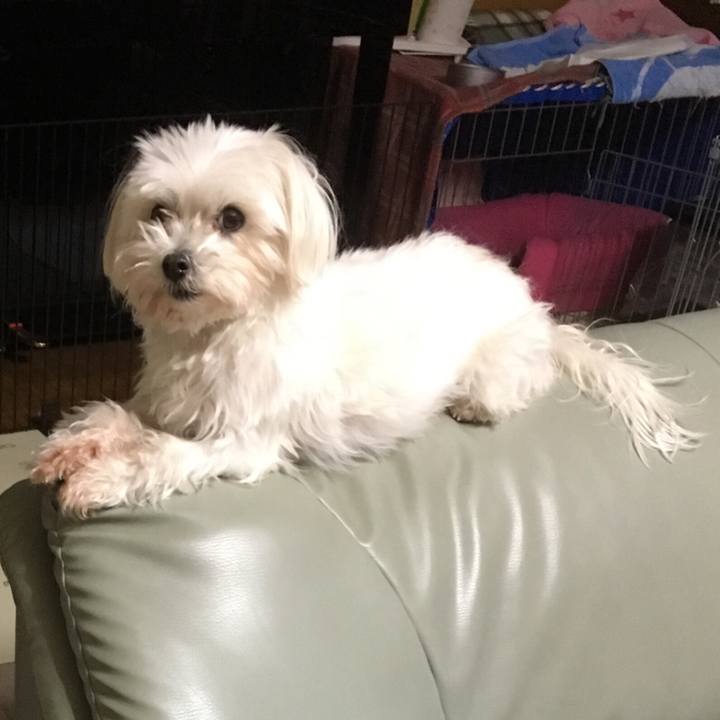 60038246 c7bf 4266 88f8 b21ec12fe565 1516188541219