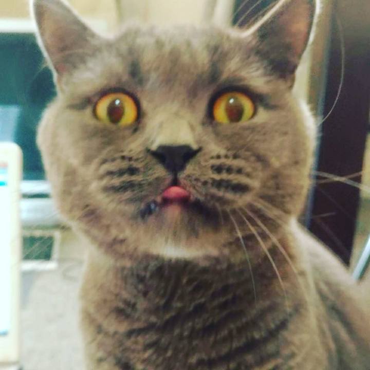 6003aa10 d106 4ac6 9c89 18743799803d 1507716984536