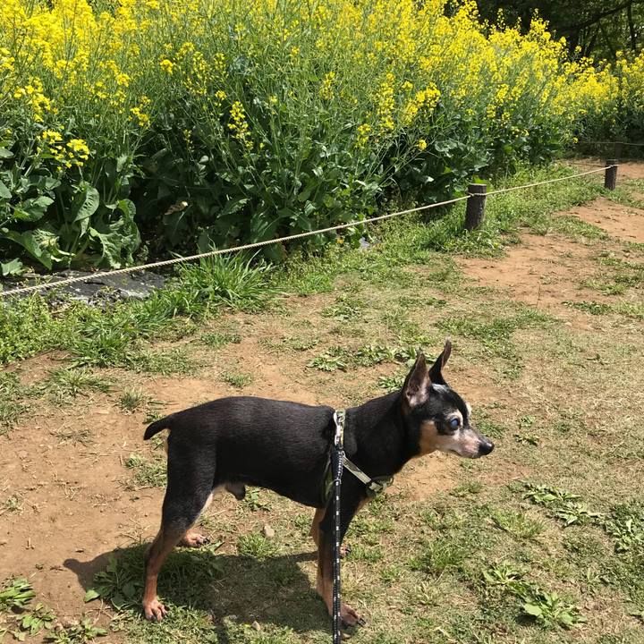 6003eb28 2b32 47a4 8566 463797c21c46 1556537659296