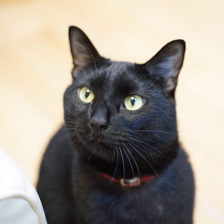 60046aff 8ff7 4343 9597 ddacd0702891 1531402685651