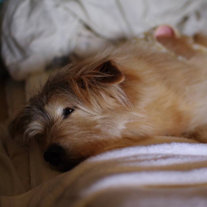 60048218 8a61 4a7e 9da5 dfa4ec3fdbc7 1645416511154