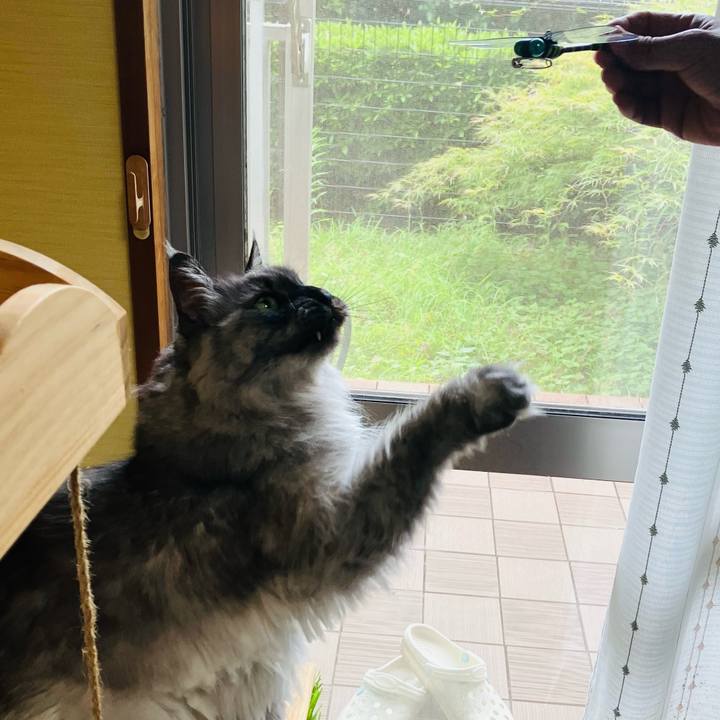 60049206 bef4 4de8 b95a af60b0c09e4d 1751331214962