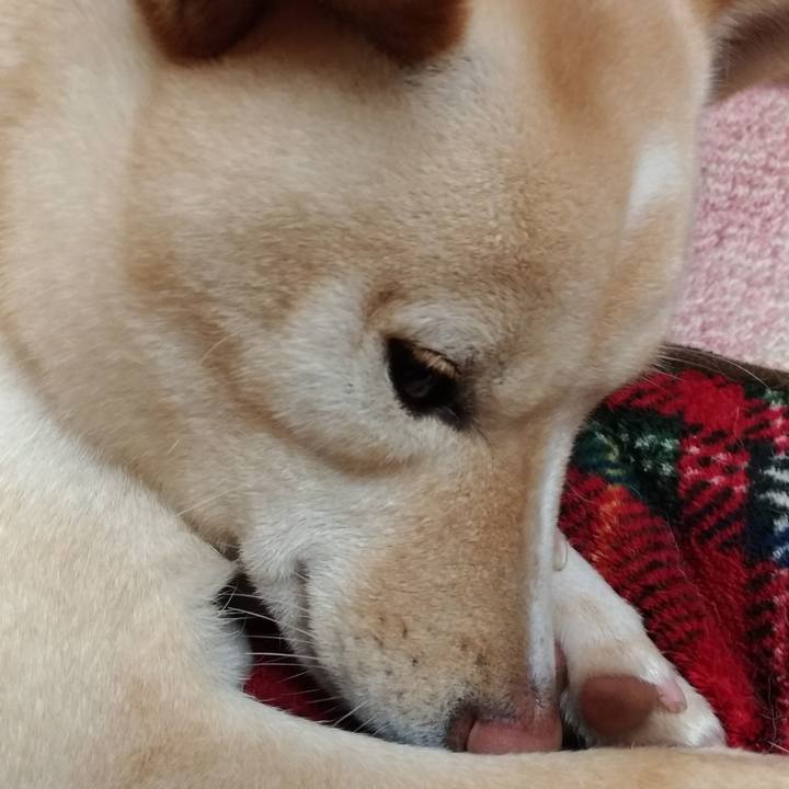 6004d540 d5b5 4b2d b3c8 64cd7966000e 1545136741364