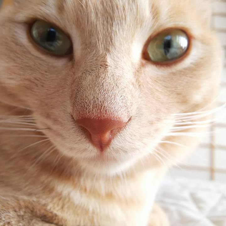 6004dbab cb1e 40fc bf7a 909278b9fd89 1603585671206