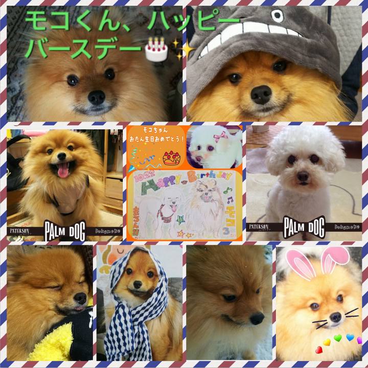 6004dec8 0716 4228 9d68 7d5817aad6bb 1508683667286