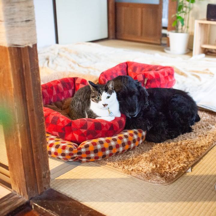 6005213a c017 4a53 ac1d abfc829e76d9 1579946427307