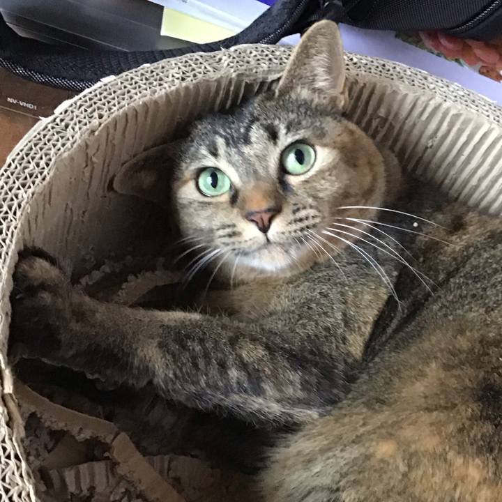 60054ce2 21c0 4ccc 8f9d c35c39d36854 1734509261274