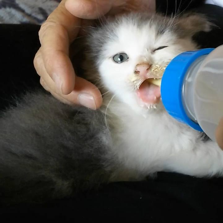 60054dcf 66cb 4140 8cf6 4bd273973858 1561592389219