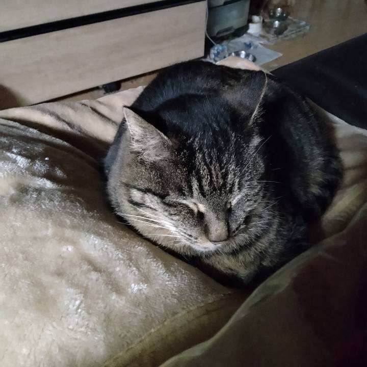 6005cb36 263c 4111 b311 c53916ae21d6 1706392843099