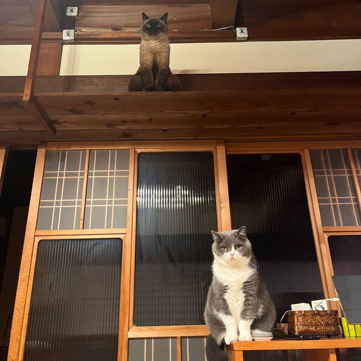 6005d1d6 73e8 488b 92cc a30f50368983 1666350491983