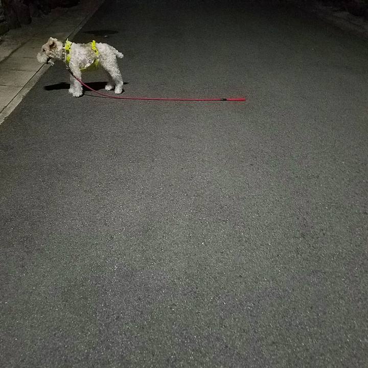 6005d87b 1187 46b2 ac9c da4394b64aa3 1533614294652