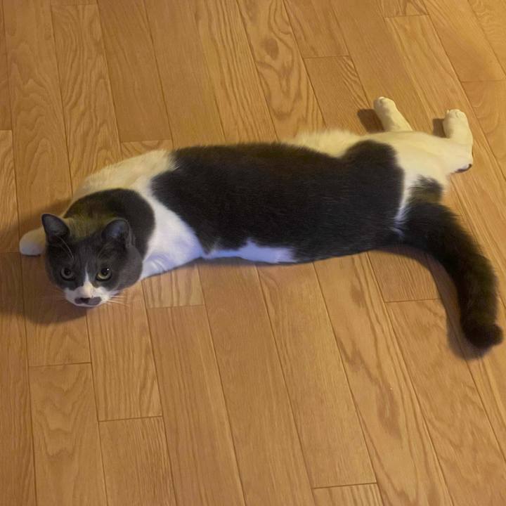 6006053b c0e6 4327 b0b7 658eef300696 1659563894914