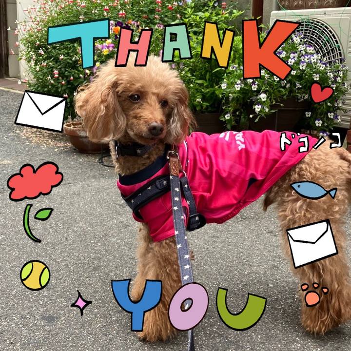 60060d40 beaa 4904 92e7 bba5c3256e6d 1715472184085