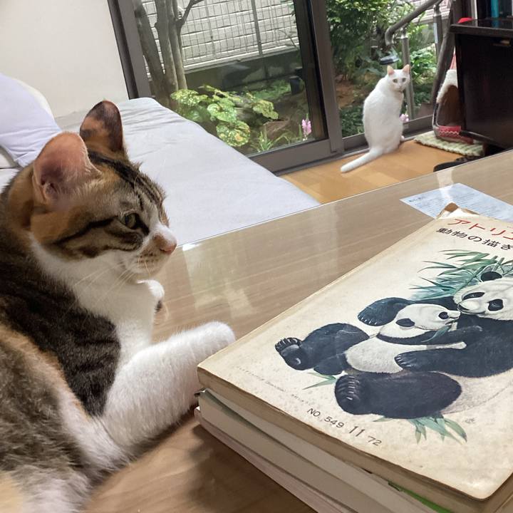 600625e7 ff4a 40e8 b207 6a4b2d109867 1663456794855