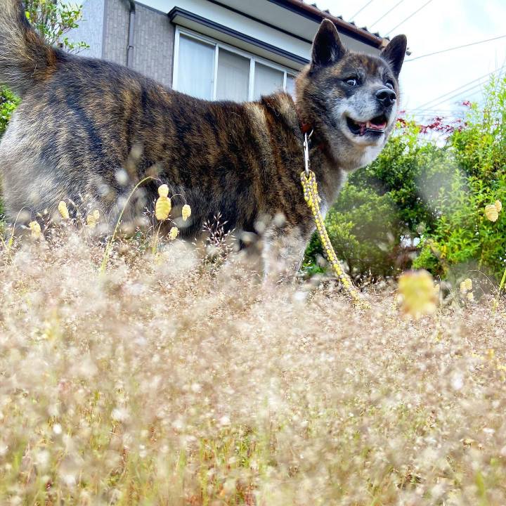 600640fb b848 4e2d b0ab c5b082471a28 1621154732419