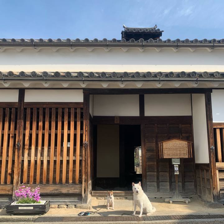 60065f47 51c1 4239 91ea e100ca956780 1553317480000