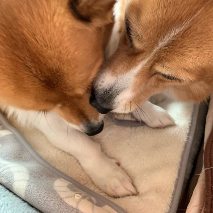 6006a147 f7f8 42b7 a5dc 1e0fd728d11d 1642396211726