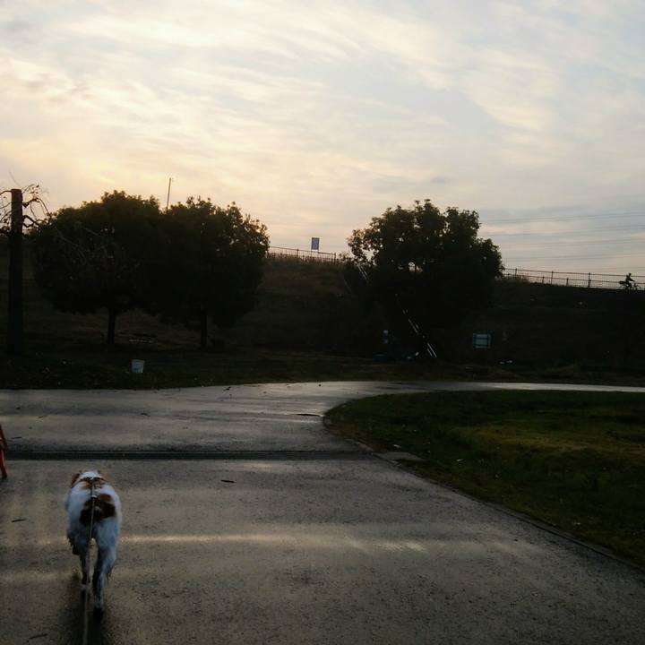 6006b2dd 276d 4e26 9273 152c05685b91 1547552201350