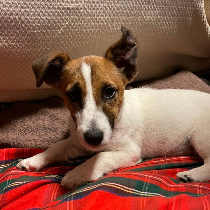 6006f4ef b6b8 4bb0 89a1 17269f3e69b9 1622208972564