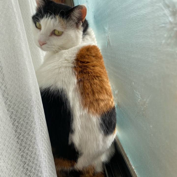 600770f8 767e 4fac aa3e 680b5624ae5e 1646470843777