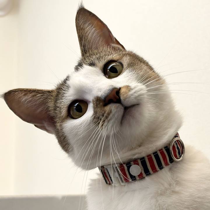 60079930 706b 4c5b b2b8 c3b98ad1467c 1772865760072