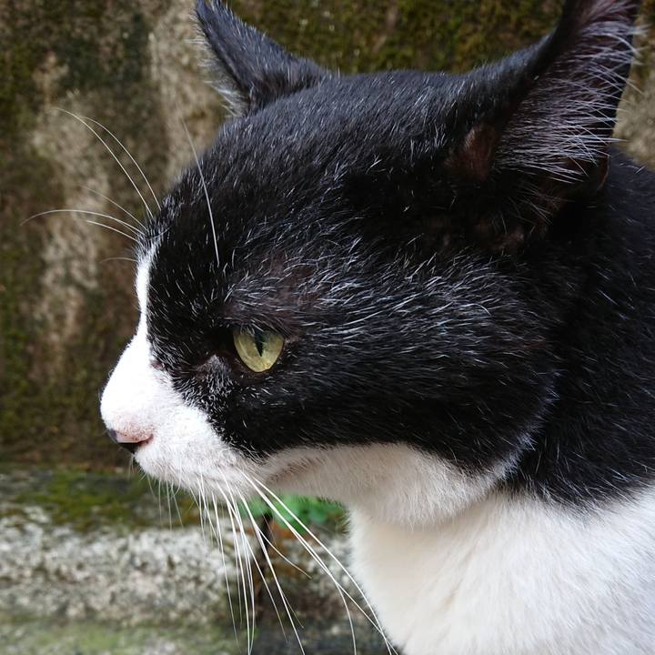 60079bde 8adf 4769 8340 65c97b595ad8 1694995147807