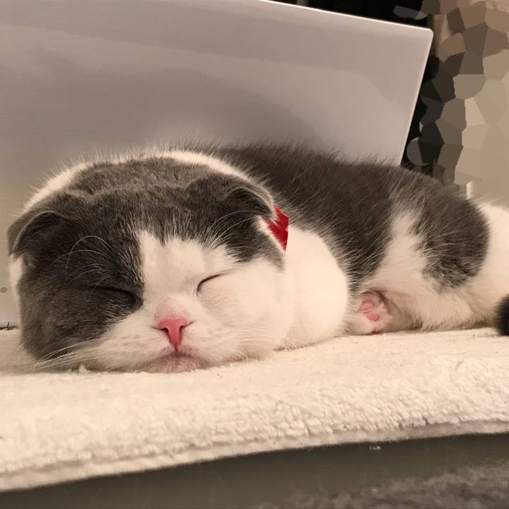 6007abd3 01d9 4018 9105 7468e713179c 1517949642239