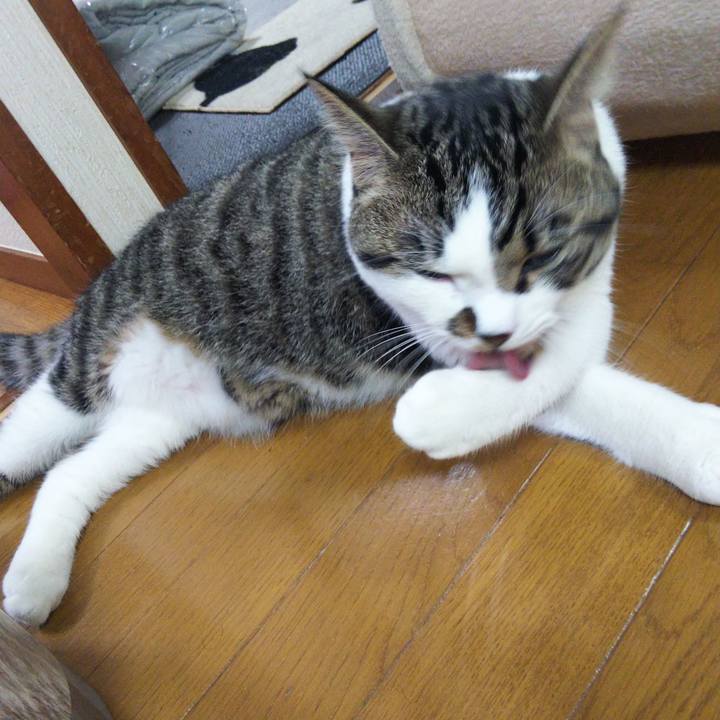 6007b1ce 872e 48cd a9eb 311817cf3ae5 1624449410700