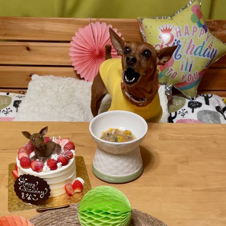 6007e66f e457 41c3 bec9 f3a9a96b4cb5 1694777116562