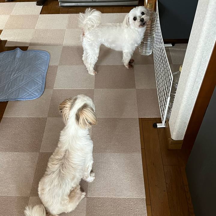 6007e7e0 c408 4d48 880a 42303d7cb12b 1655709519067