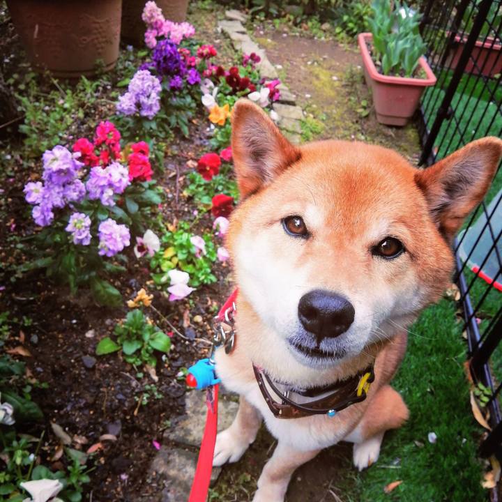 6007ff69 d81e 41c9 8f53 f16d9d76c386 1586067993337