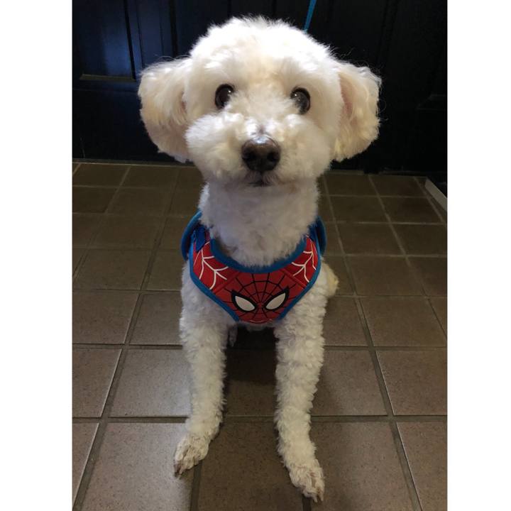 60080ca2 9801 4a29 9ea5 20ab727c4549 1537876833029