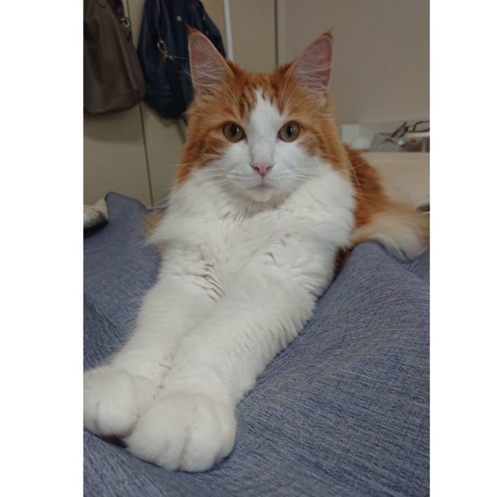 600811ad debc 4619 9e3d 2783de7aed1c 1561865992553