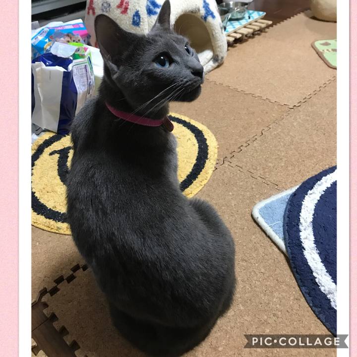 60081f50 6ab6 4667 99b9 028f909f5d57 1520855352128